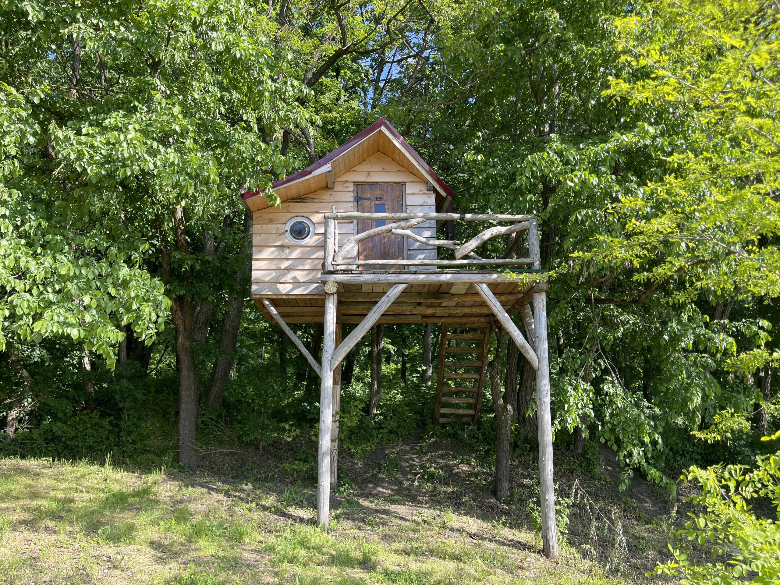 Căsuța din Copac - vedere panoramică