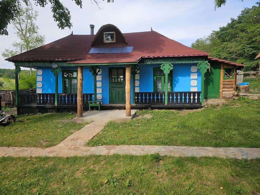 Căsuța din Pădure - vedere panoramică